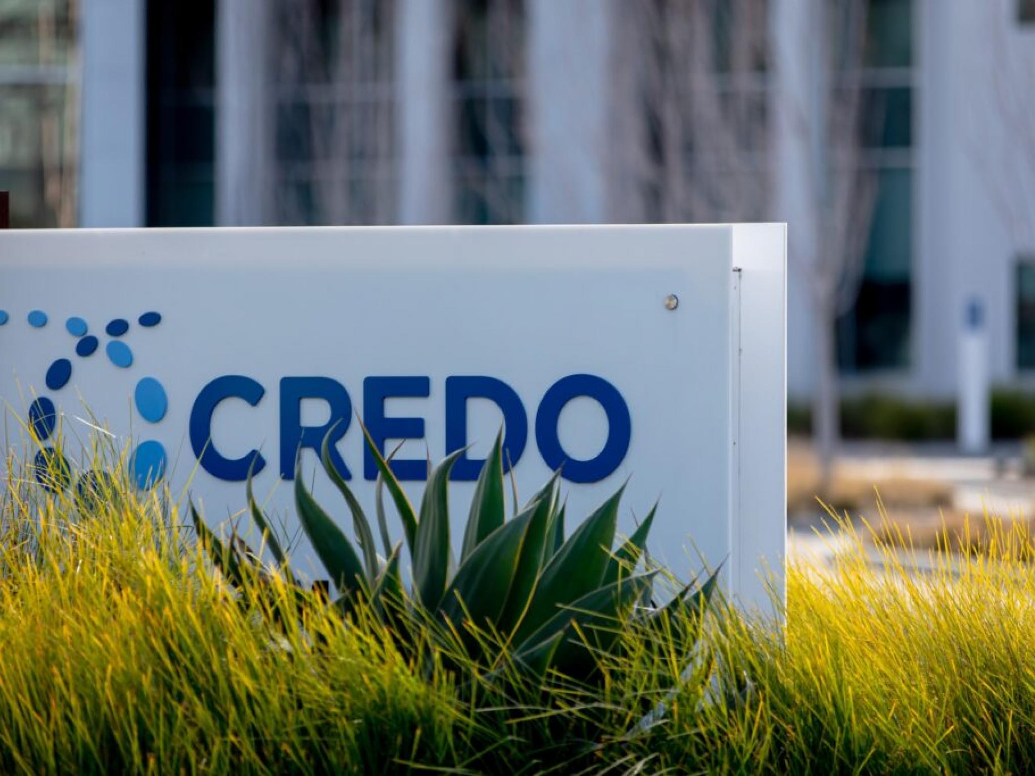 Credo Technology: Yapay Zekanın Hız Yarışında Yüksek Risk, Yüksek Potansiyel
