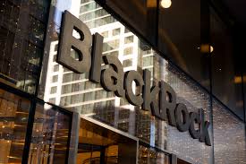 BlackRock'tan Yapay Zeka Tahmini: Yükseliş Sürecek Ama Risk Büyük